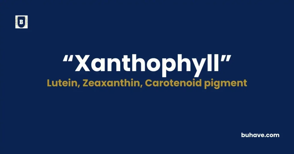 Xanthophyll - Meaning, Definition, Synonyms and Antonyms
