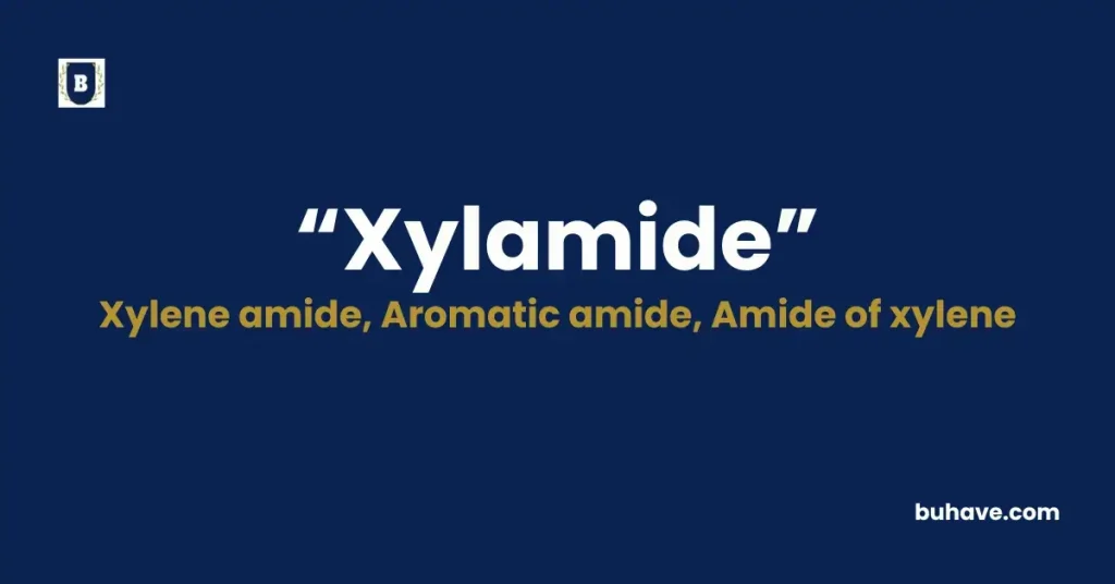 Xylamide - Meaning, Definition, Synonyms and Antonyms