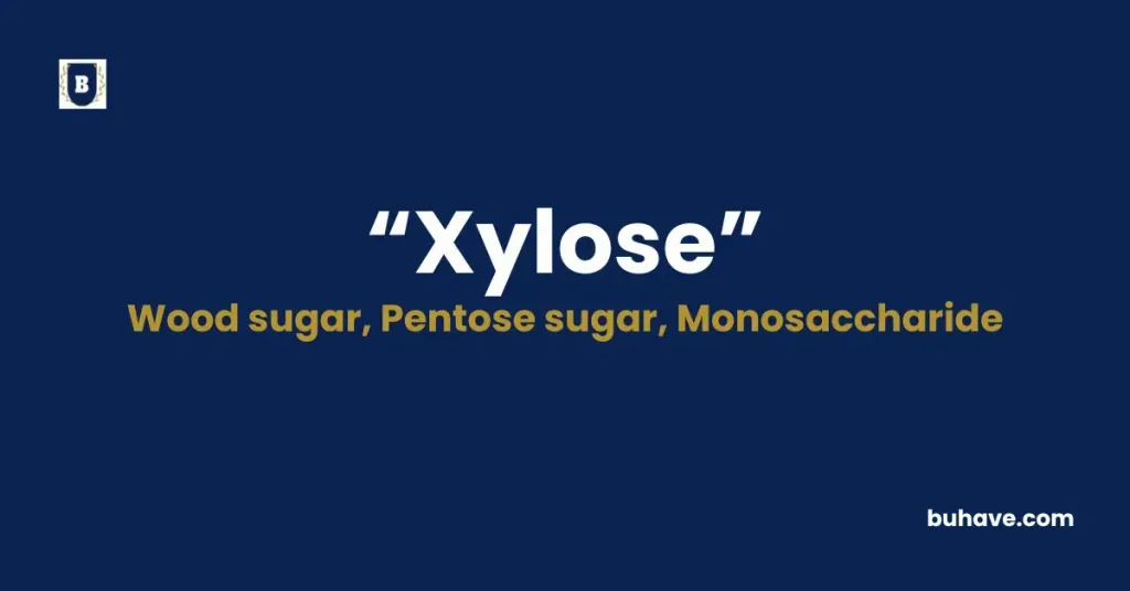 Xylose - Meaning, Definition, Synonyms and Antonyms
