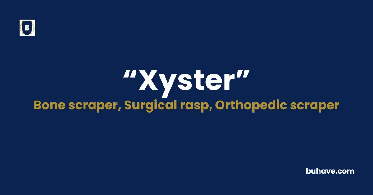 Xyster - Meaning, Definition, Synonyms and Antonyms
