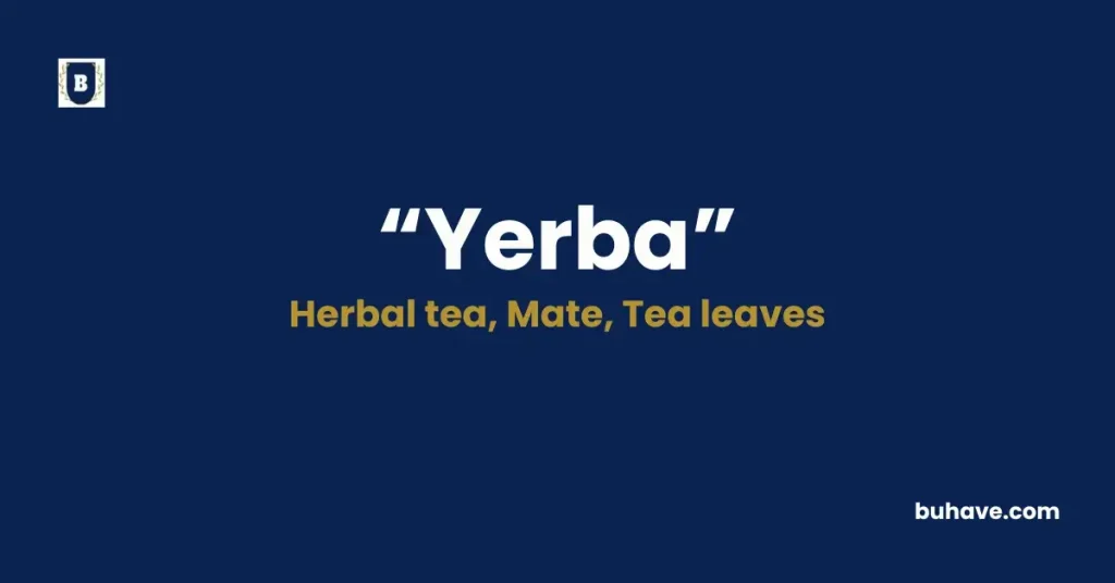 Yerba - Meaning, Definition, Synonyms and Antonyms