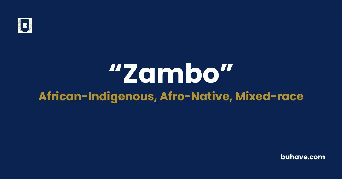 Zambo - Meaning, Definition, Synonyms and Antonyms