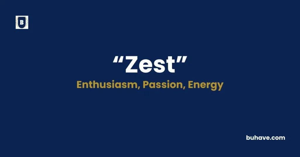 Zest - Meaning, Definition, Synonyms and Antonyms