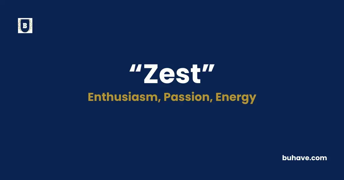 Zest - Meaning, Definition, Synonyms and Antonyms