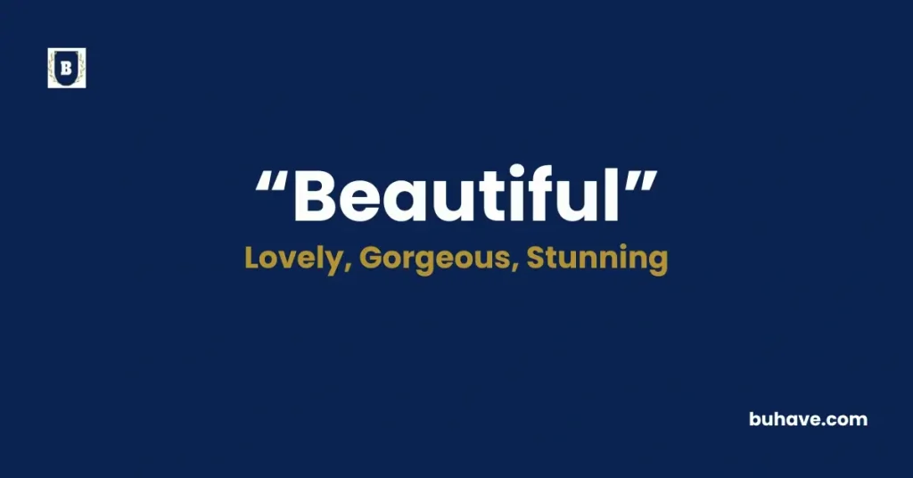 Beautiful - Meaning, Definition, Synonyms and Antonyms
