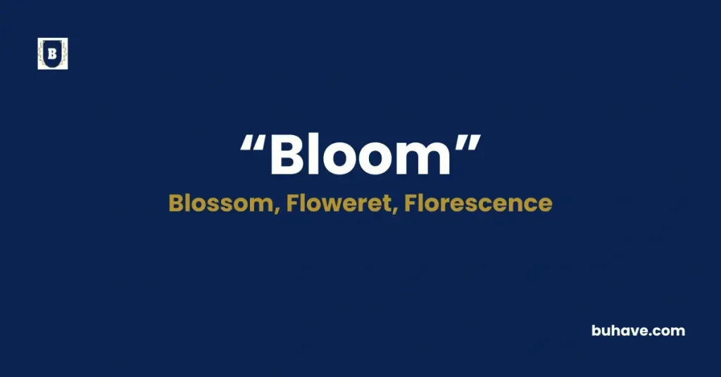 Bloom - Meaning, Definition, Synonyms and Antonyms