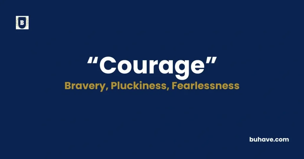 Courage - Meaning, Definition, Synonyms and Antonyms