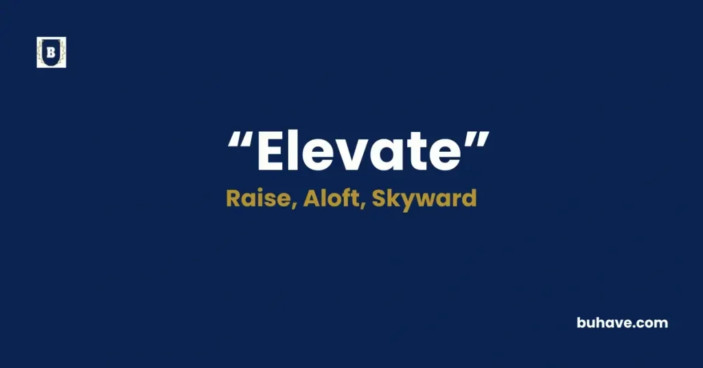 Elevate - Meaning, Definition, Synonyms and Antonyms