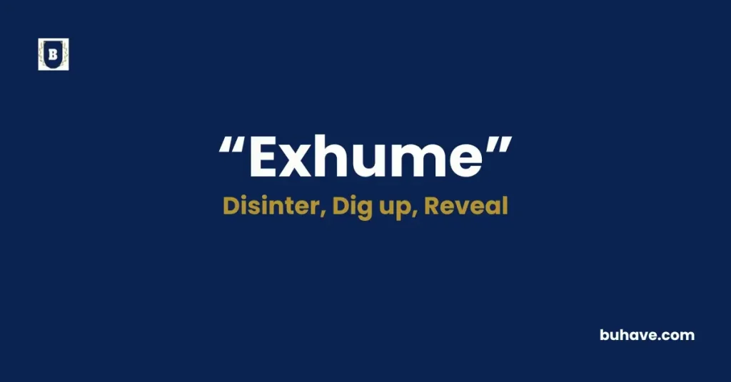 Exhume - Meaning, Definition, Synonyms and Antonyms