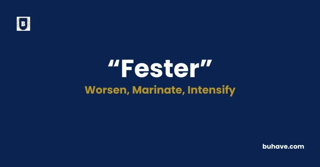 Fester - Meaning, Definition, Synonyms and Antonyms