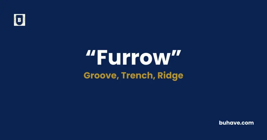 Furrow-Meaning-Definition-Synonyms-and-Antonyms
