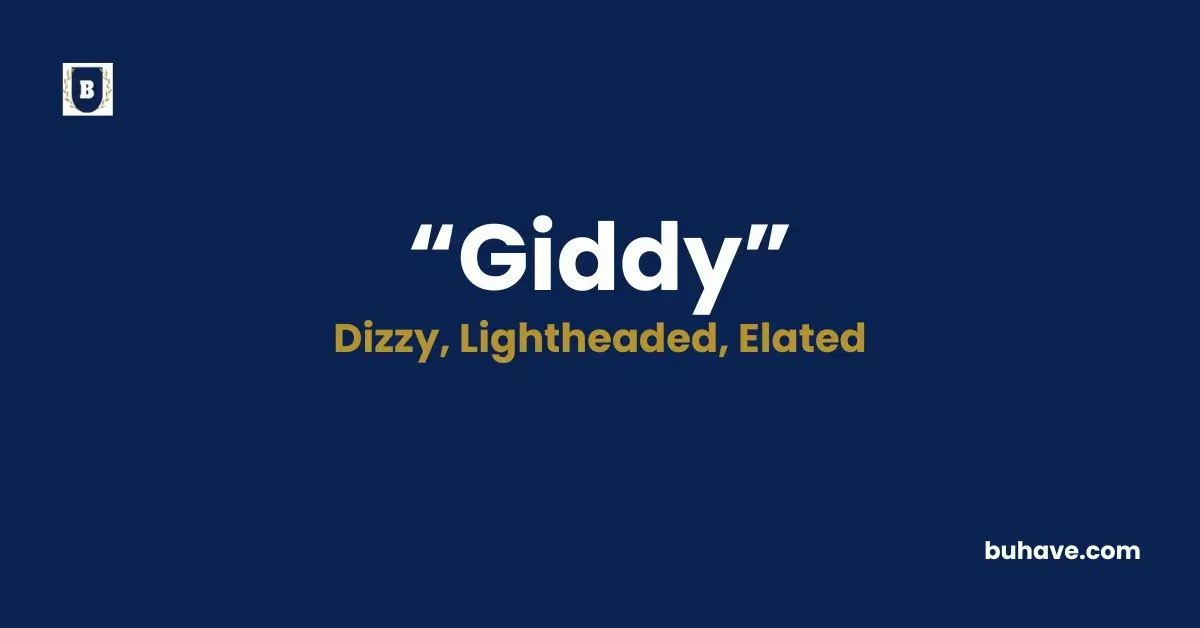 Giddy - Meaning, Definition, Synonyms and Antonyms