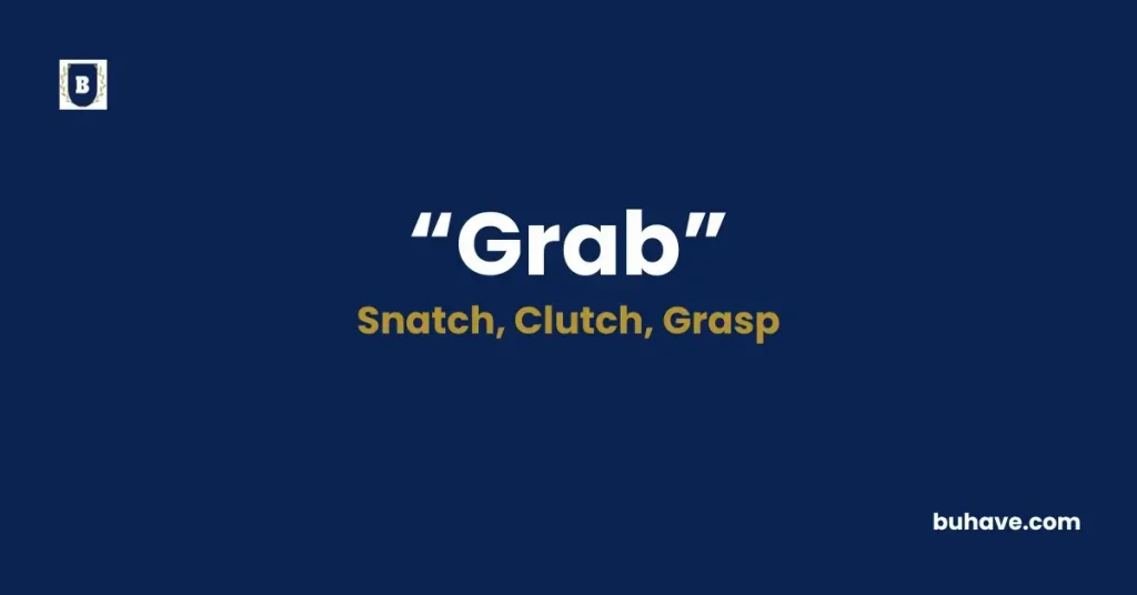Grab - Meaning, Definition, Synonyms and Antonyms