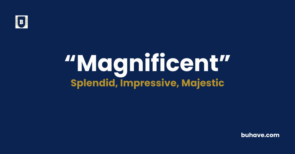 Magnificent - Meaning, Definition, Synonyms and Antonyms