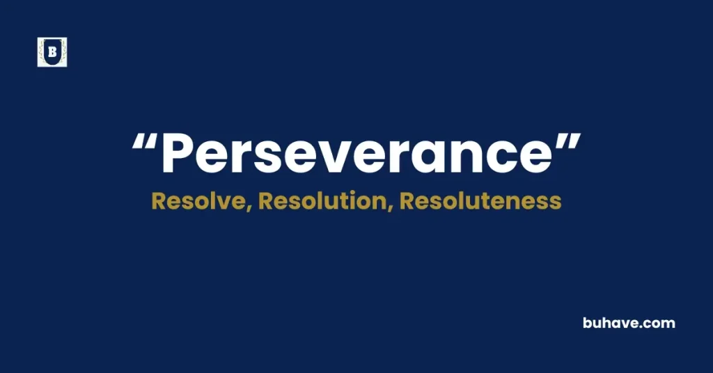 Perseverance Meaning, Definition, Synonyms and Antonyms