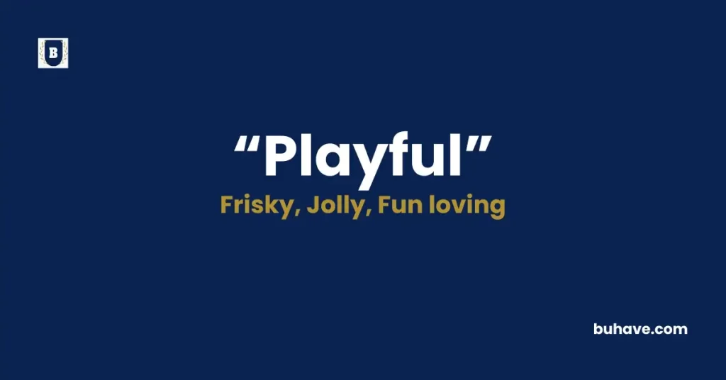 Playful Meaning, Definition, Synonyms and Antonyms