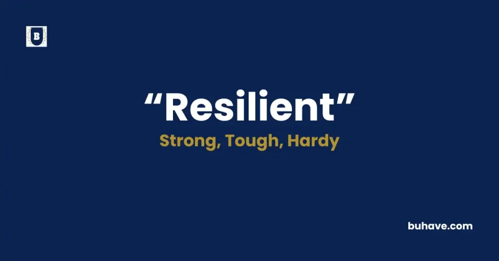 Resilient Meaning, Definition, Synonyms and Antonyms