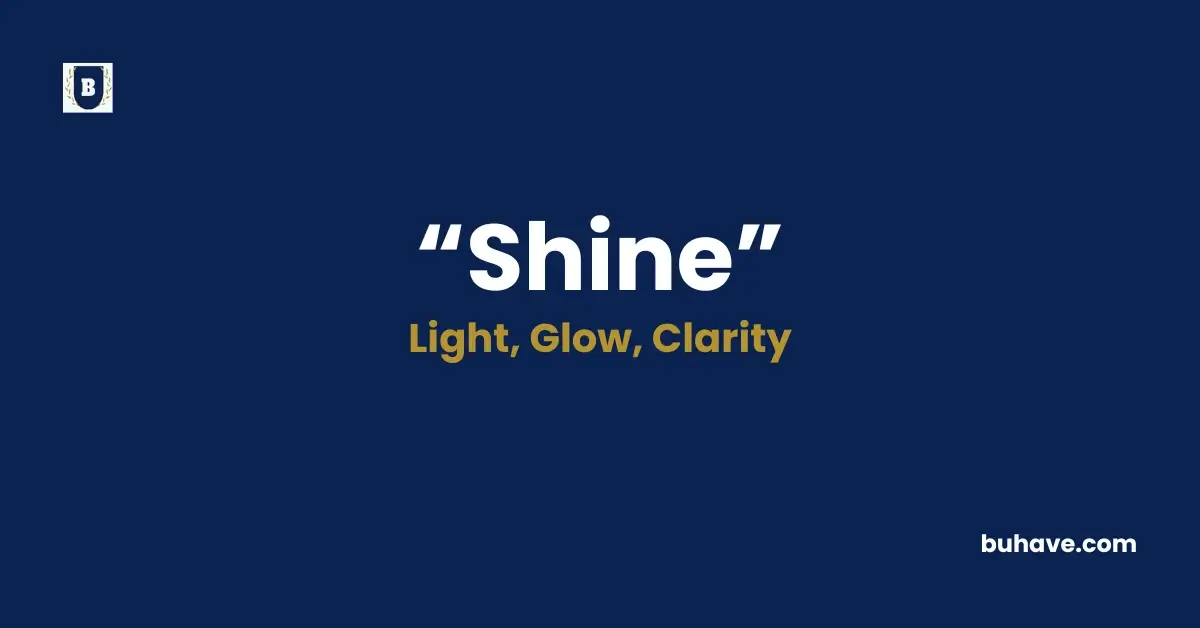 Shine Meaning, Definition, Synonyms and Antonyms