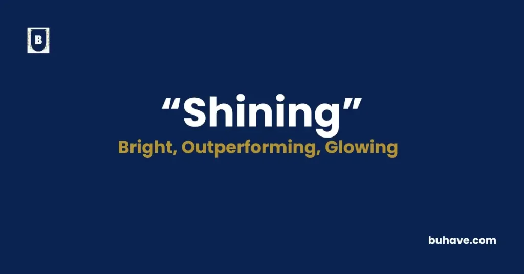 Shining, Definition, Synonyms and Antonyms