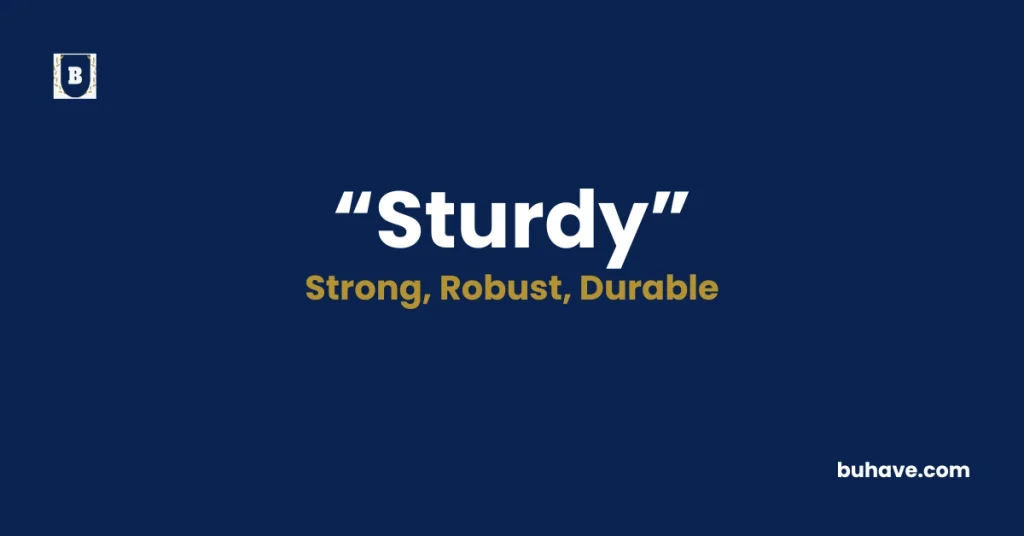 Sturdy - Meaning, Definition, Synonyms and Antonyms