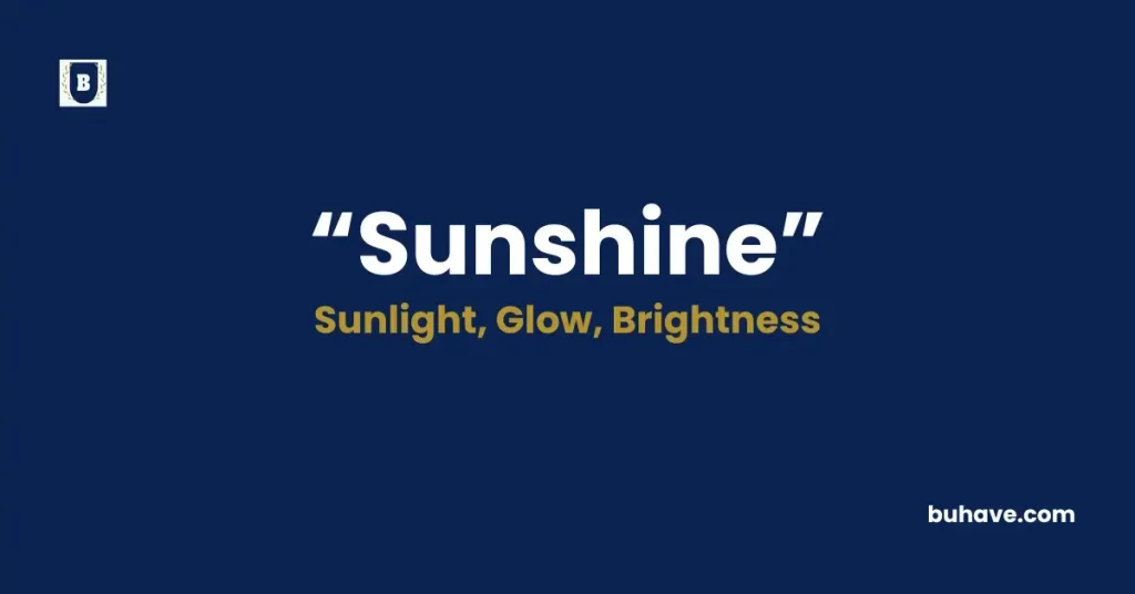 Sunshine Meaning, Definition, Synonyms, and Antonyms