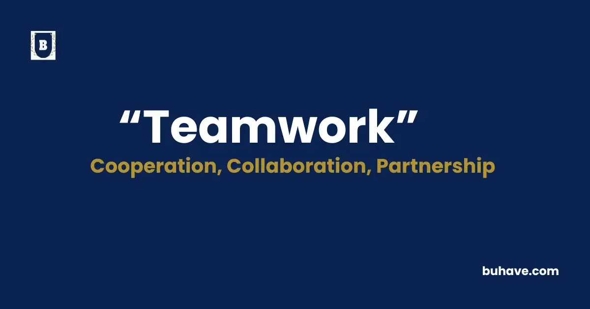 Teamwork, Definition, Synonyms and Antonyms