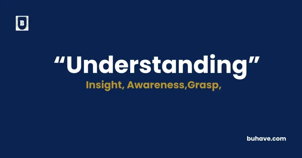 Understanding- Meaning, Definition, Synonyms and Antonyms