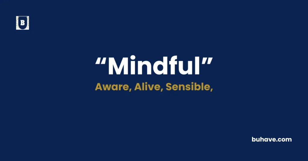 mindful meaning definition synonyms antonyms