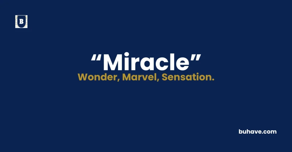 miracle meaning definition synonyms antonyms