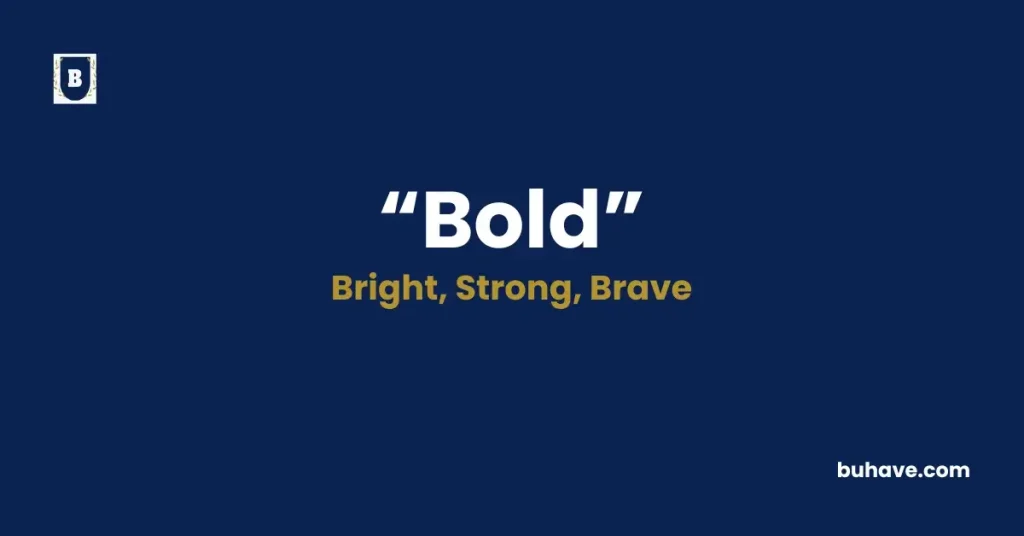 Bold, Definition, Synonyms and Antonyms