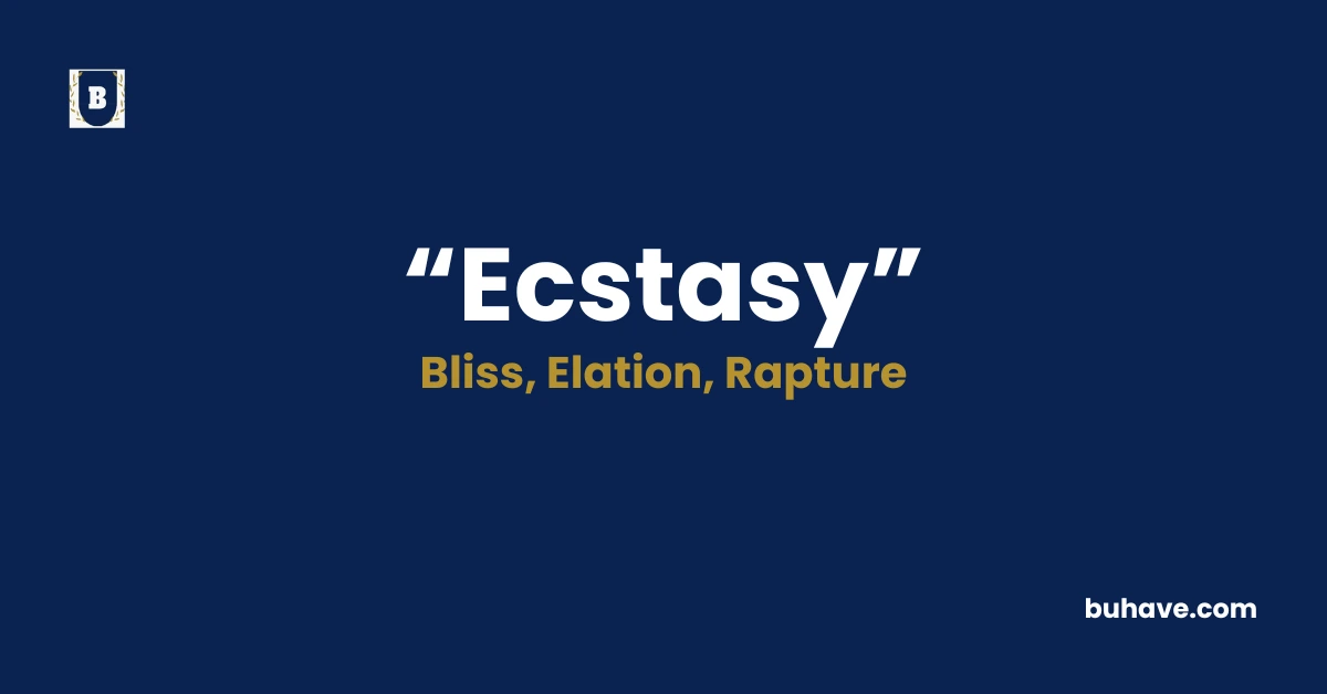 Ecstasy - Meaning, Definition, Synonyms and Antonyms