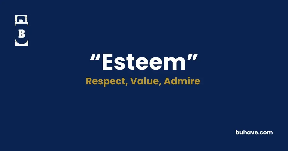 Esteem- Definition, Synonyms and Antonyms