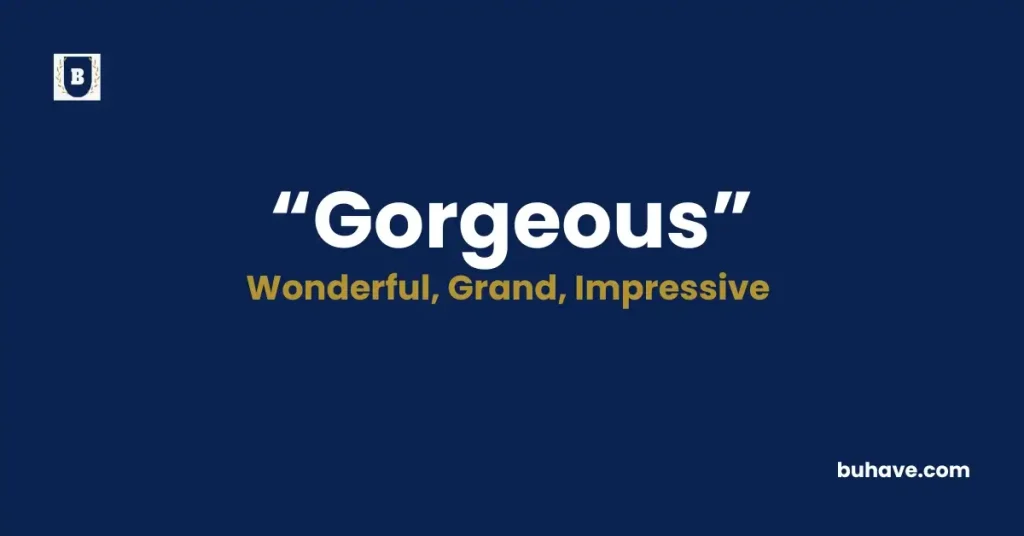 Gorgeous- Definition, Synonyms and Antonyms
