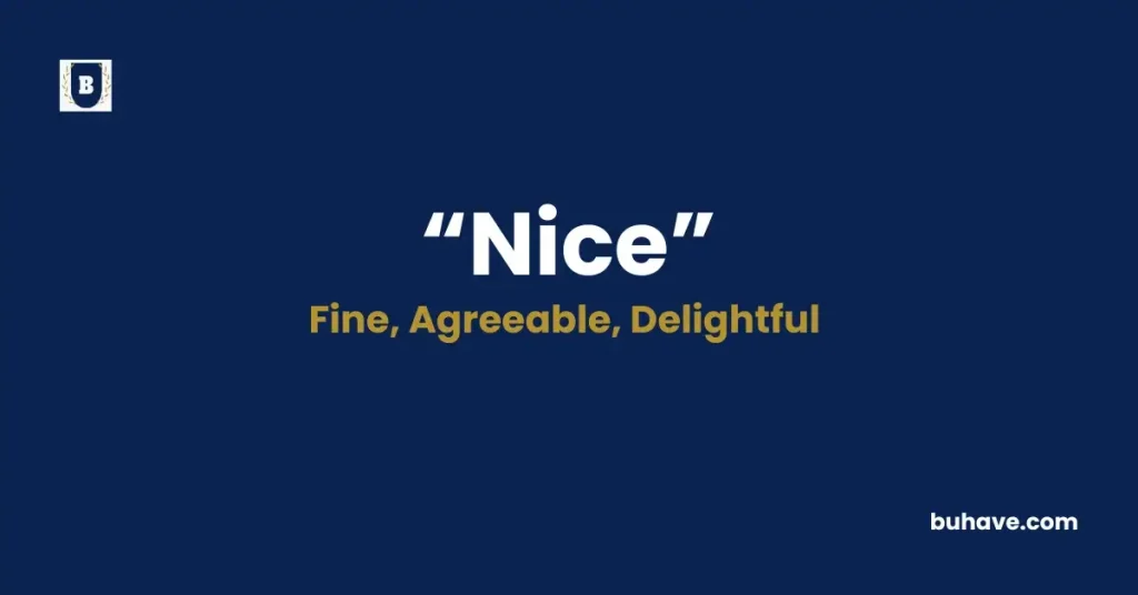 Nice- Meaning, Definition, Synonyms and Antonyms