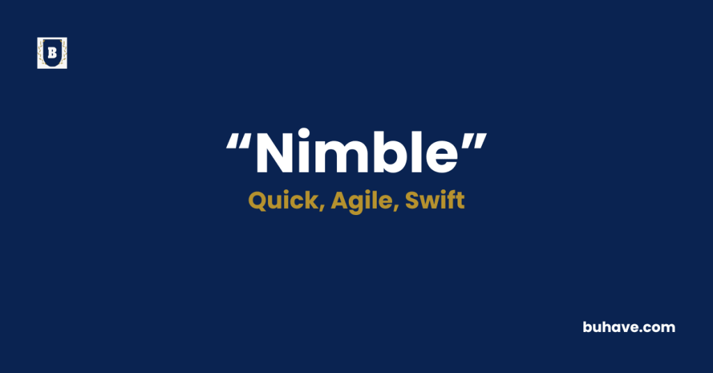 Nimble-Meaning-Definition-Synonyms-Antonyms