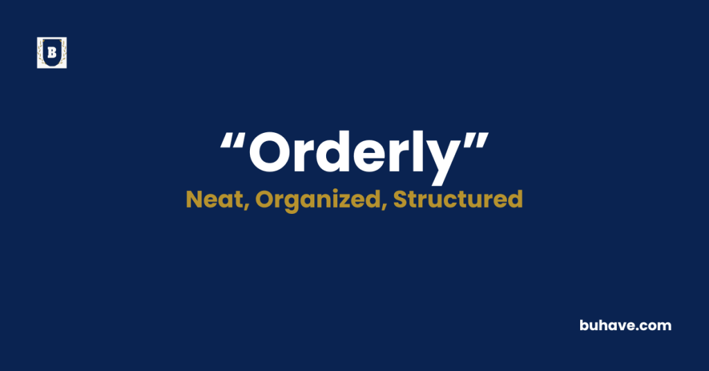 Orderly-Meaning-Definition-Synonyms-Antonyms