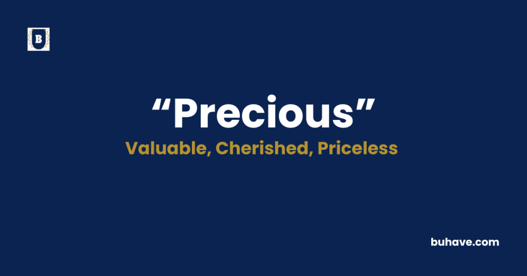 Precious-Meaning-Definition-Synonyms-Antonyms