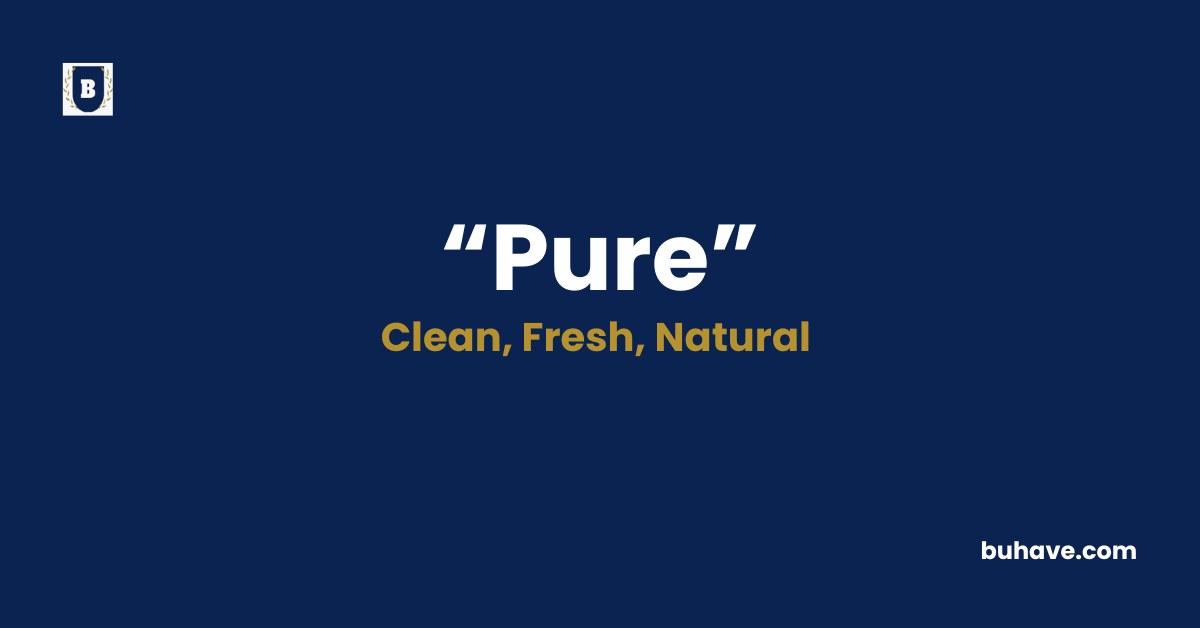 Pure-Meaning-Definition-Synonyms-Antonyms