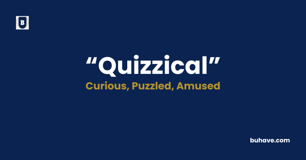 Quizzical-Meaning-Definition-Synonyms-Antonyms