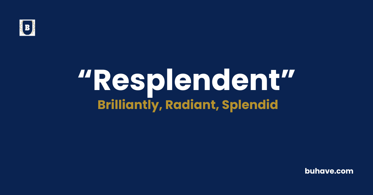Resplendent-Meaning-Definition-Synonyms-Antonyms