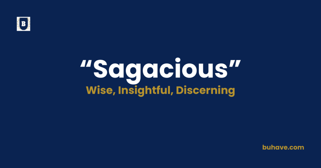Sagacious-Meaning-Definition-Synonyms-Antonyms.