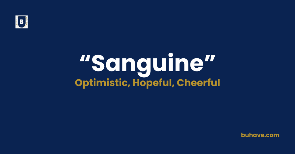 Sanguine-Meaning-Definition-Synonyms-Antonyms