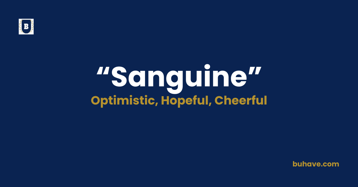 Sanguine-Meaning-Definition-Synonyms-Antonyms