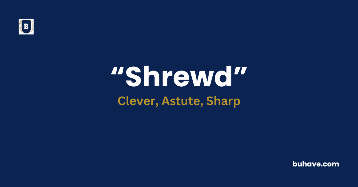 Shrewd-Meaning-Definition-Synonyms-Antonyms