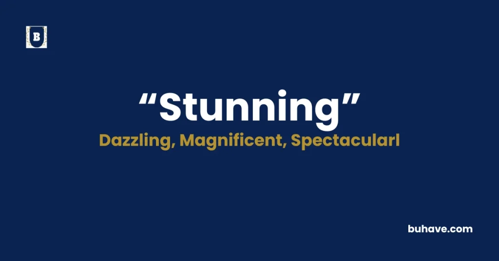 Stunning - Meaning, Definition, Synonyms and Antonyms