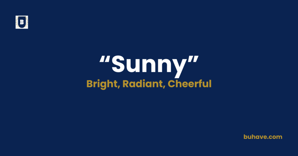 Sunny-Meaning-Definition-Synonyms-Antonyms