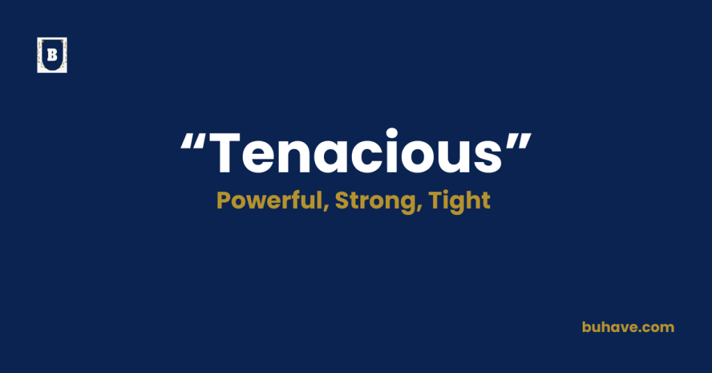 Tenacious -Meaning, Definition, Synonyms and Antonyms