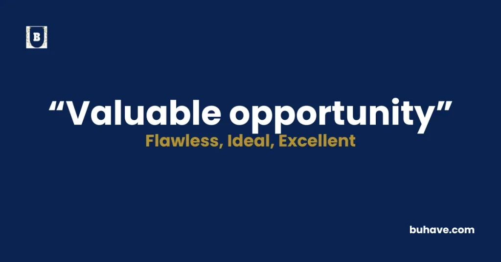 Valuable opportunity - Meaning, Definition, Synonyms and Antonyms