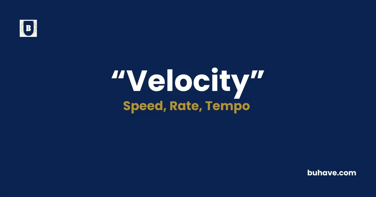 Velocity- Meaning, Definition, Synonyms and Antonyms