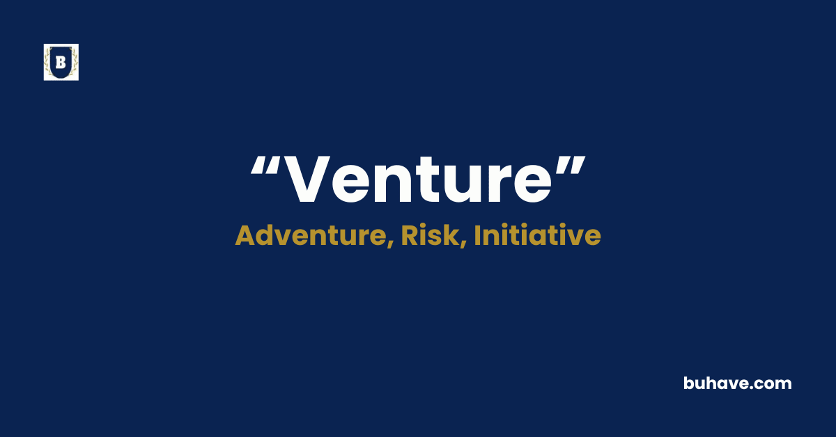 Venture - Meaning, Definition, Synonyms and Antonyms
